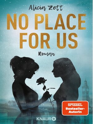 cover image of No Place For Us